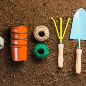 3-Piece Essential Gardening Hand Tool Set