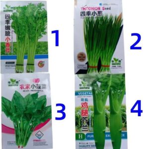 Green Onion & Chive Seed Collection – 4 Varieties