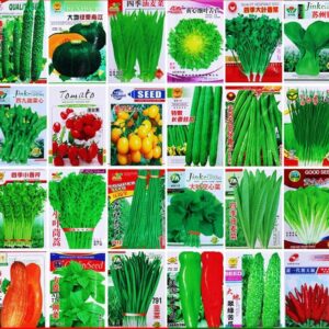 Mixed Seasonal Vegetable Seed Variety Pack
