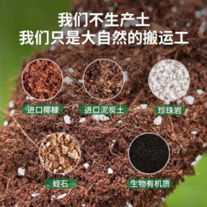 Assorted Seasonal Seed